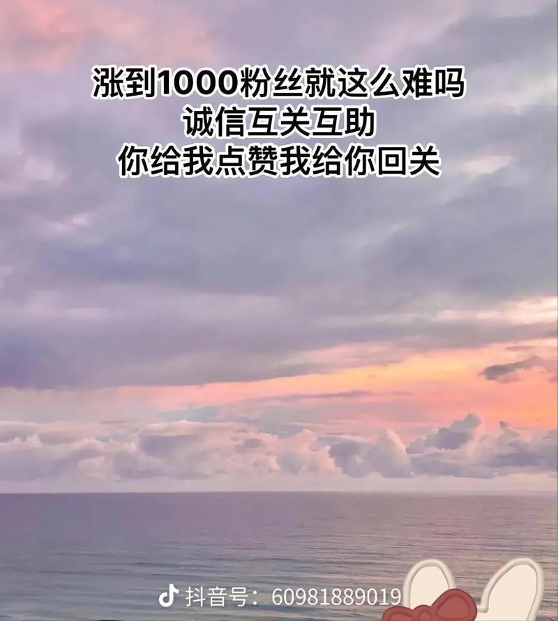 抖音快速涨粉秘籍，1元轻松收获1000粉丝