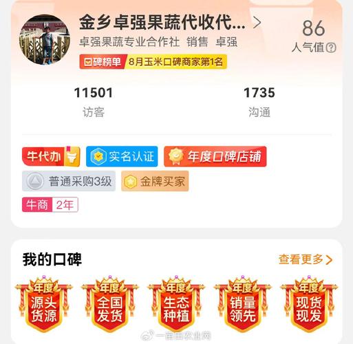超值优惠，1元下单即可获得10000访客，低至0.1元一万访客！