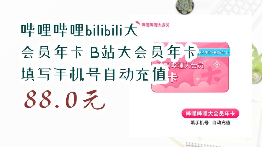 快速获取B站会员，在线刷哔哩哔哩会员的便捷方法