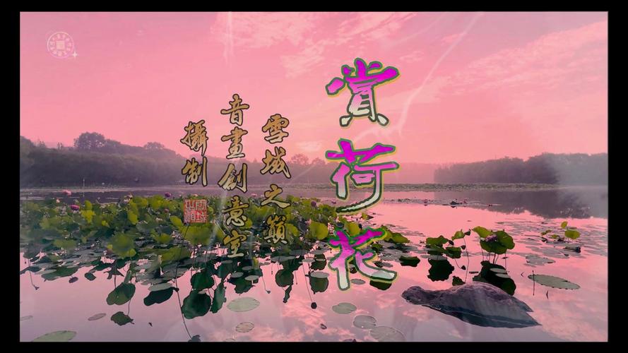 南荷带你轻松刷抖音，快速涨粉没压力