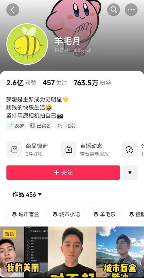 抖音刷赞全网最低价找阿豪