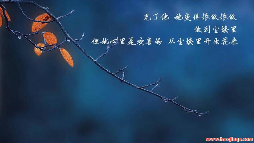 qq空间说说赞低价,qq空间说说赞超低价