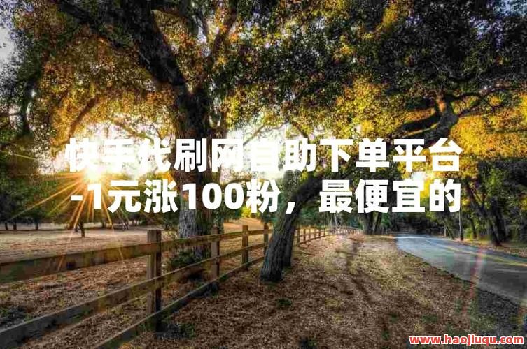 快手1元刷100粉
