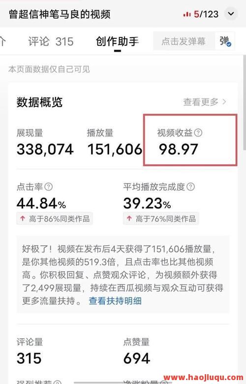 西瓜视频刷播放量,西瓜视频播放量怎样算钱