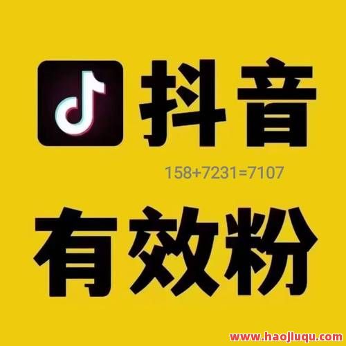 抖音粉丝卡盟平台官网/手机版-24小时自助下单快速涨粉平台