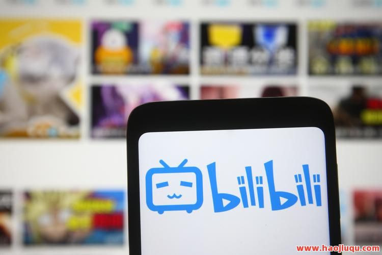 0.01元B站bilibili粉丝,b站粉丝lv0