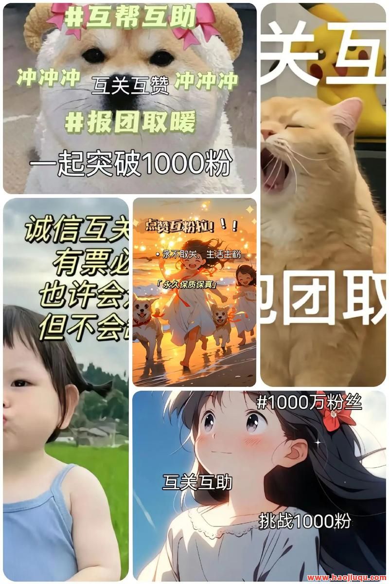 抖音涨粉丝1元1000个活粉,抖音涨粉丝一元1000个活粉
