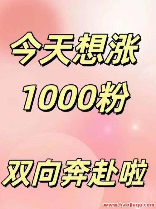 业务一元100粉丝,1元一百个粉丝
