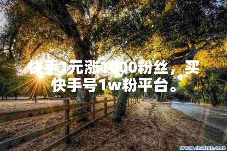 一百个粉丝多少钱的简单介绍