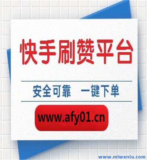 快手业务区全网最低价(快手业务下单平台最低价)
