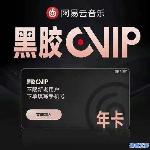 网易云自动下单买粉丝服务